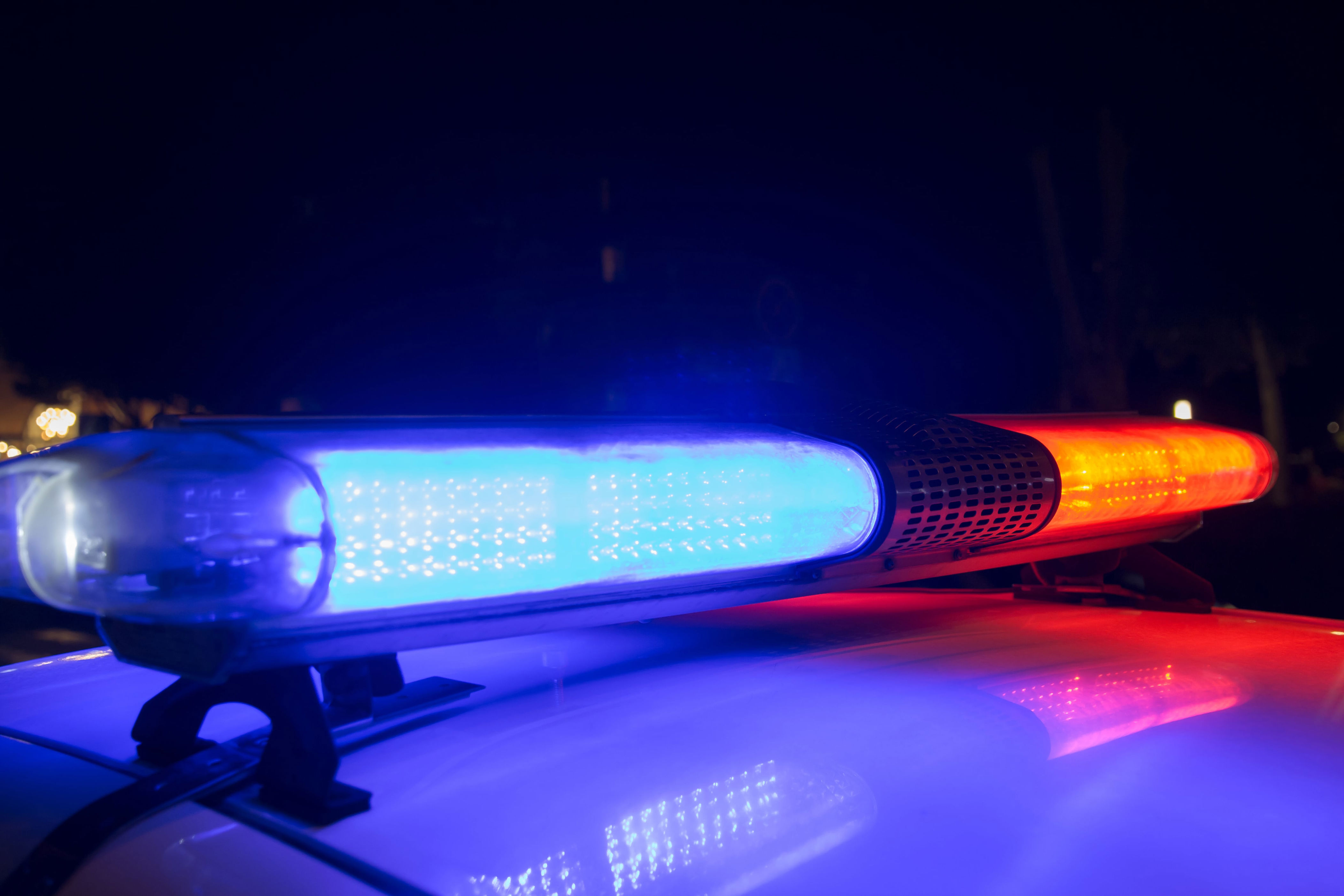 St. Pete police officer fatally shoots dog after man found injured in ...