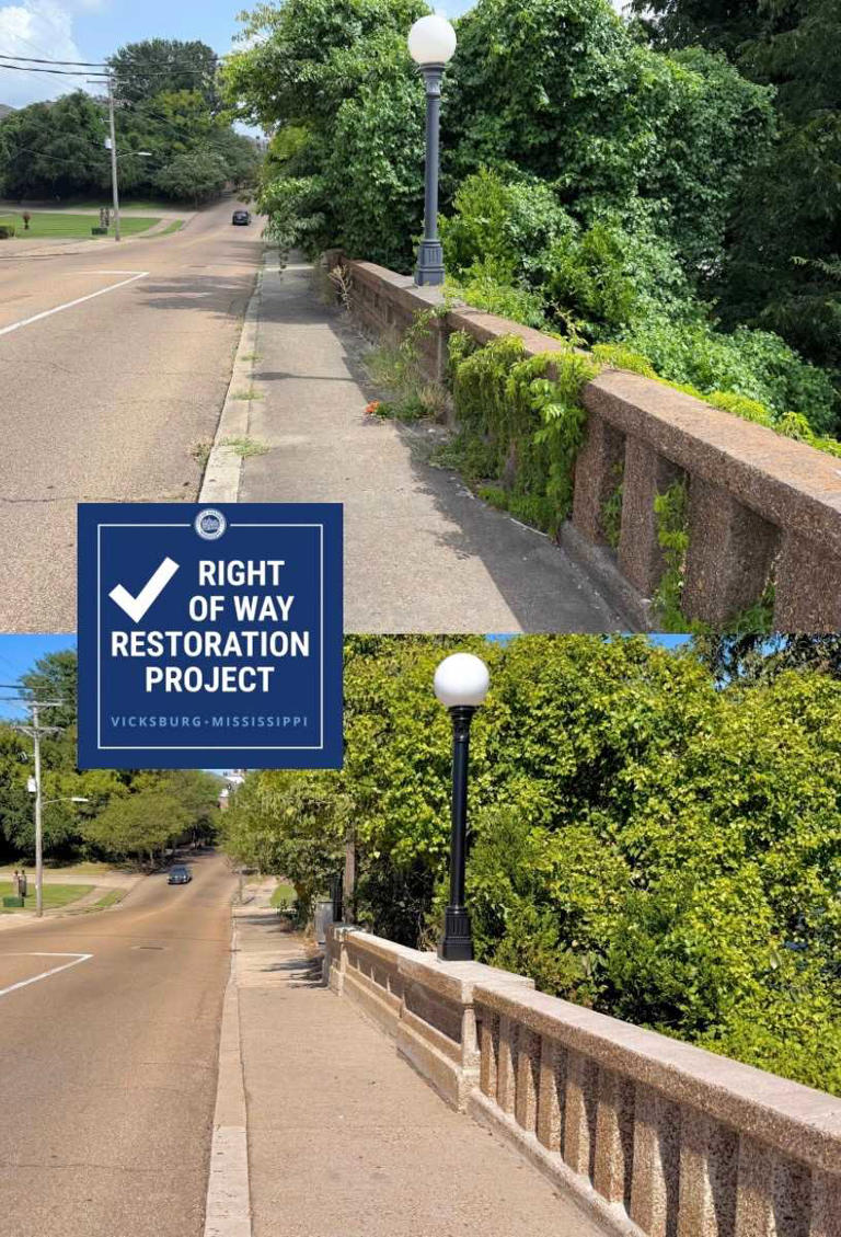 Vicksburg mayor targeting high weeds, sign repair in city's highest ...