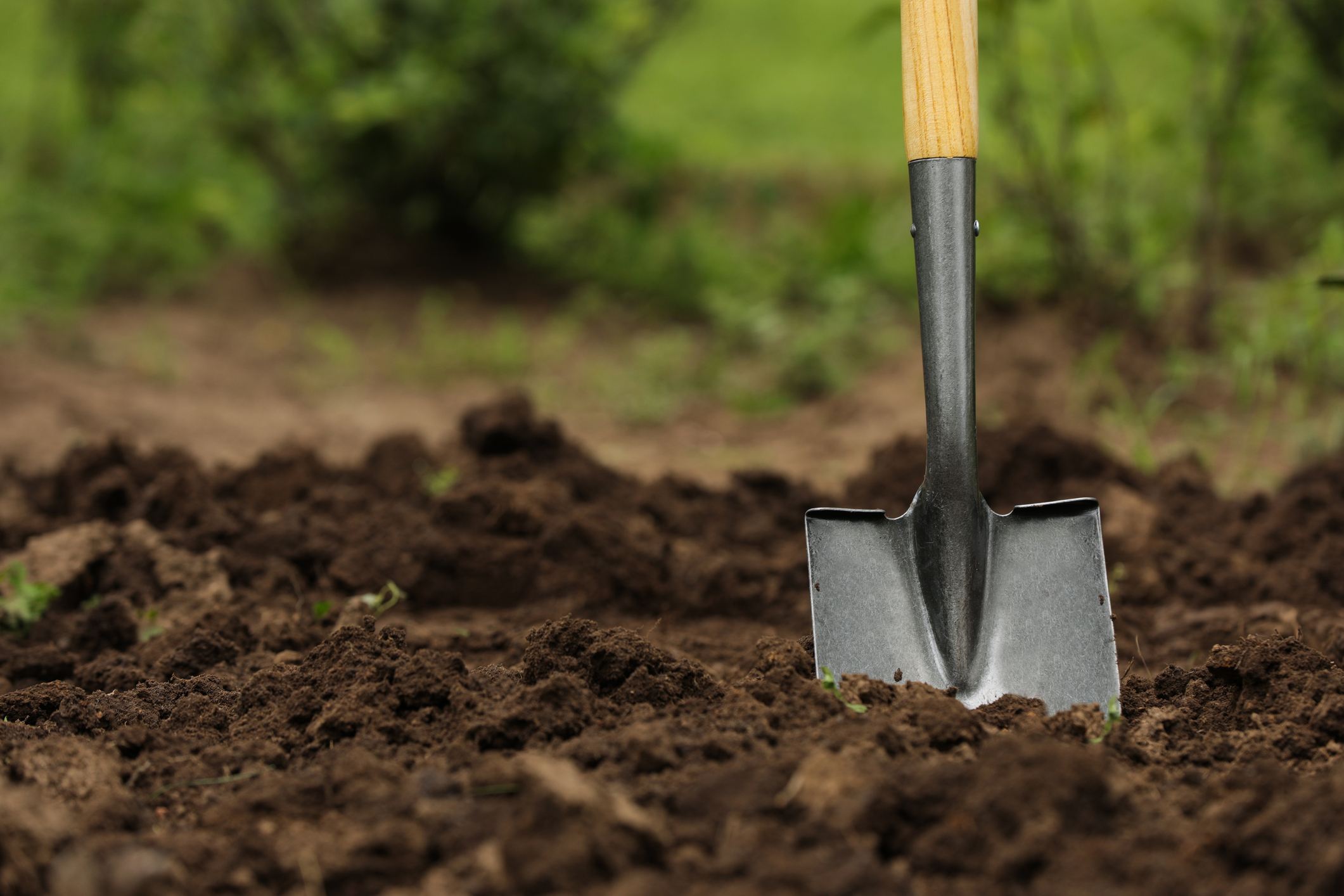 7 coffins unearthed at North Dakota governor's residence