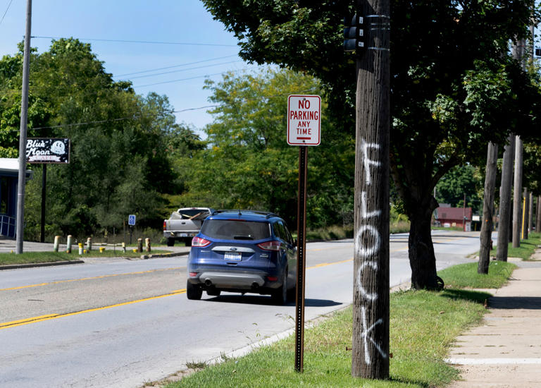 There's no guardrails. Flock cameras spark privacy battle across Michigan