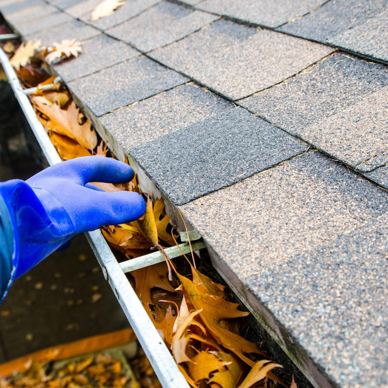 Experts say this is the best time to clean your gutters