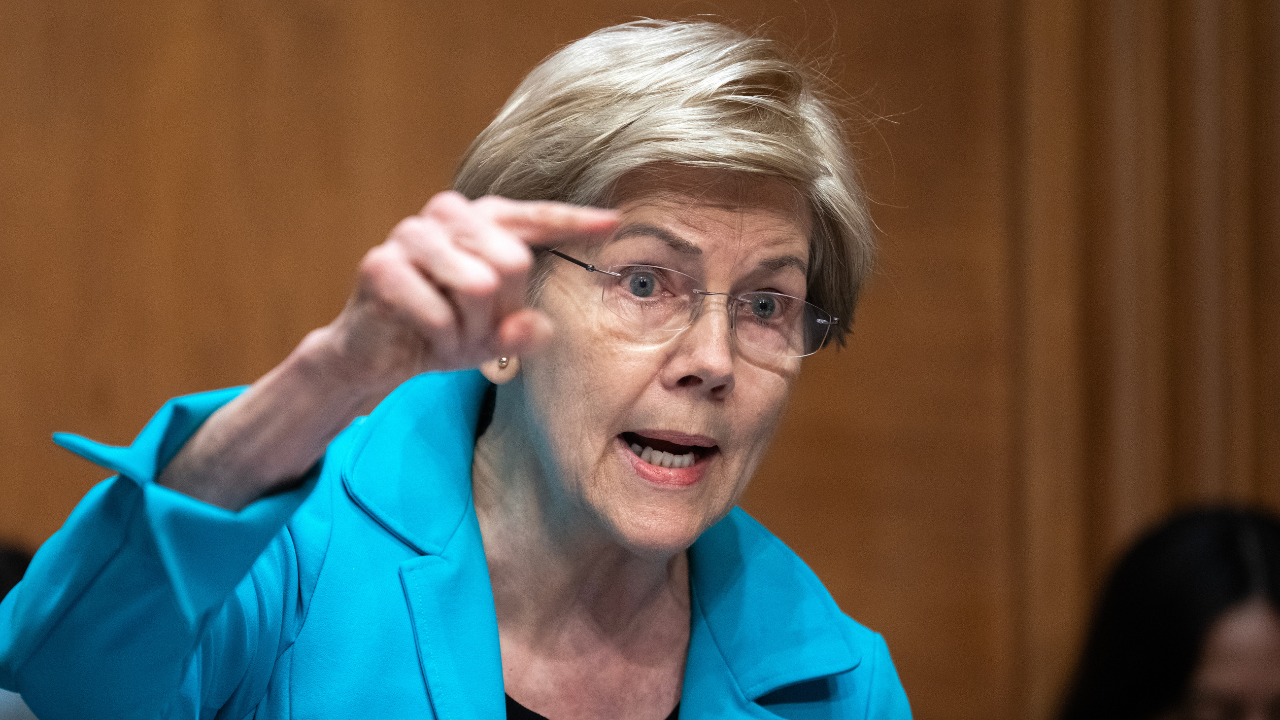 ‘Big Condiment’ warning gets Warren roasted online over progressive's ...