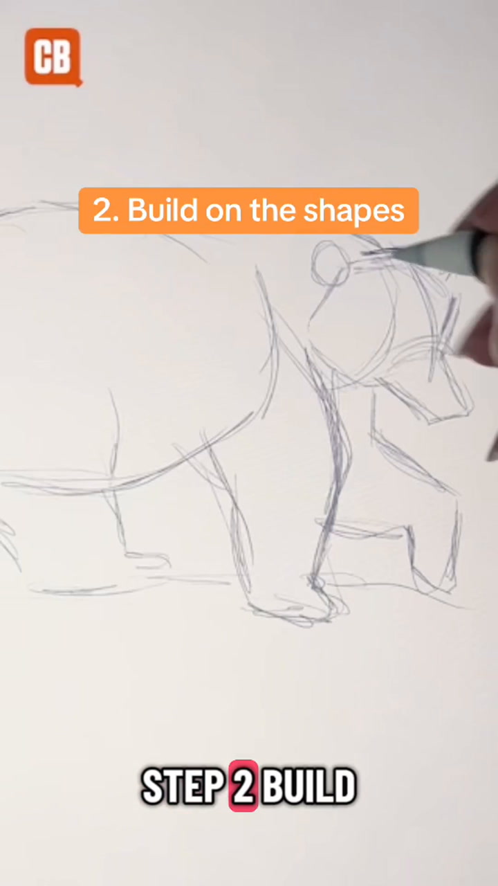 How to draw a bear in 5 easy steps