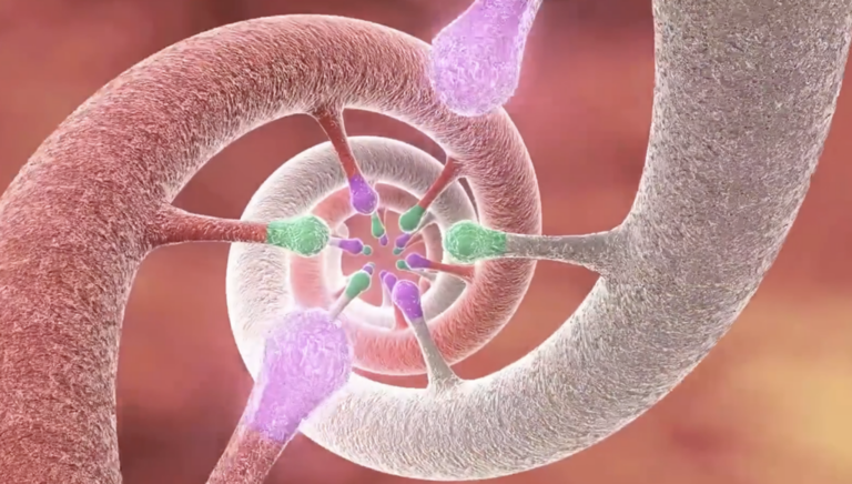 What if human DNA stopped mutating? Cancer could disappear, but ...