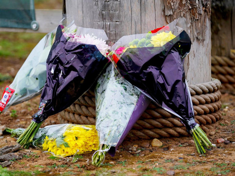 Yorkshire Wildlife Park issues new statement days after fatal tiger attack