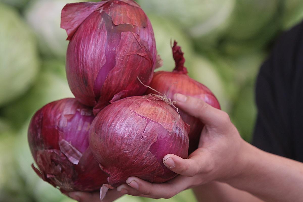 PCC fines onion importers a record P1.76-billion for alleged cartel ...
