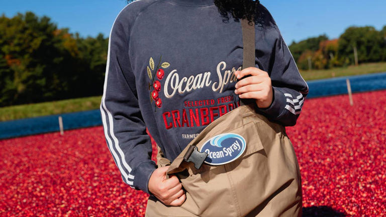 Ocean Spray launches trendy limited-edition bog core collection ...
