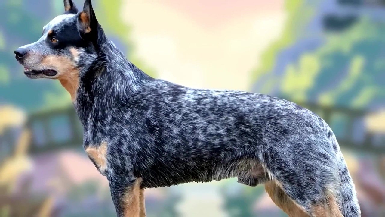 Bluey, Paw Patrol, Elmo and Scooby-Doo get hidden lore theories (part 1)