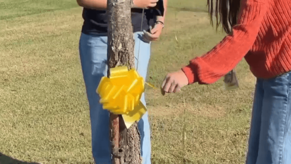 Jacksonville students honor Beirut bombing victims with yellow ribbons