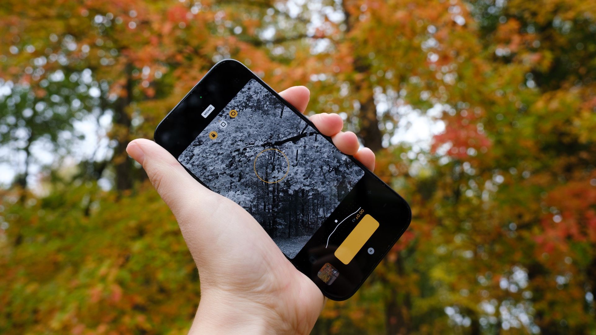 The iPhone camera app built for Kodak-like color is going black-and ...