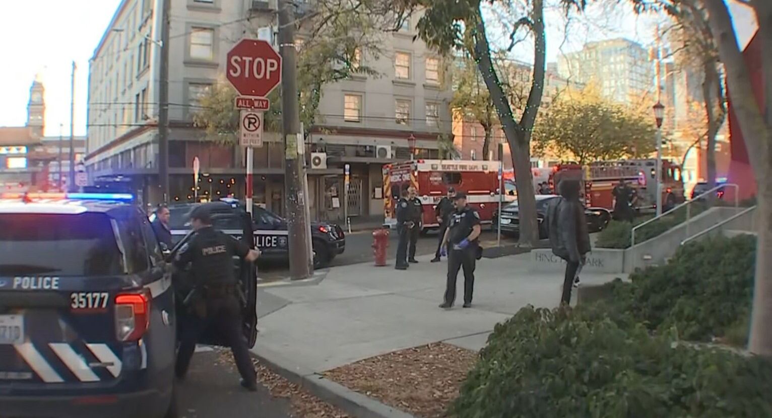 Judge denies release request for suspect in Seattle machete attack