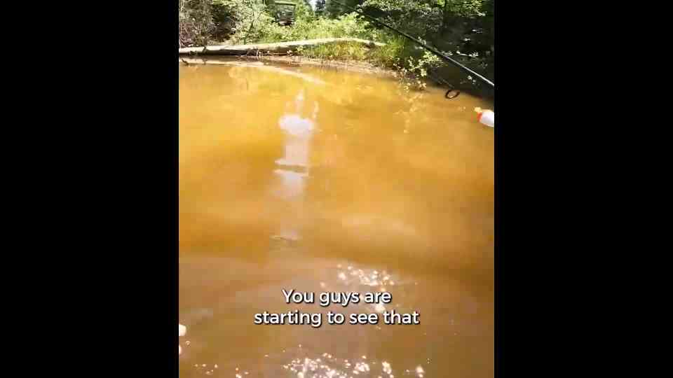 What actually happens when you free a fish?