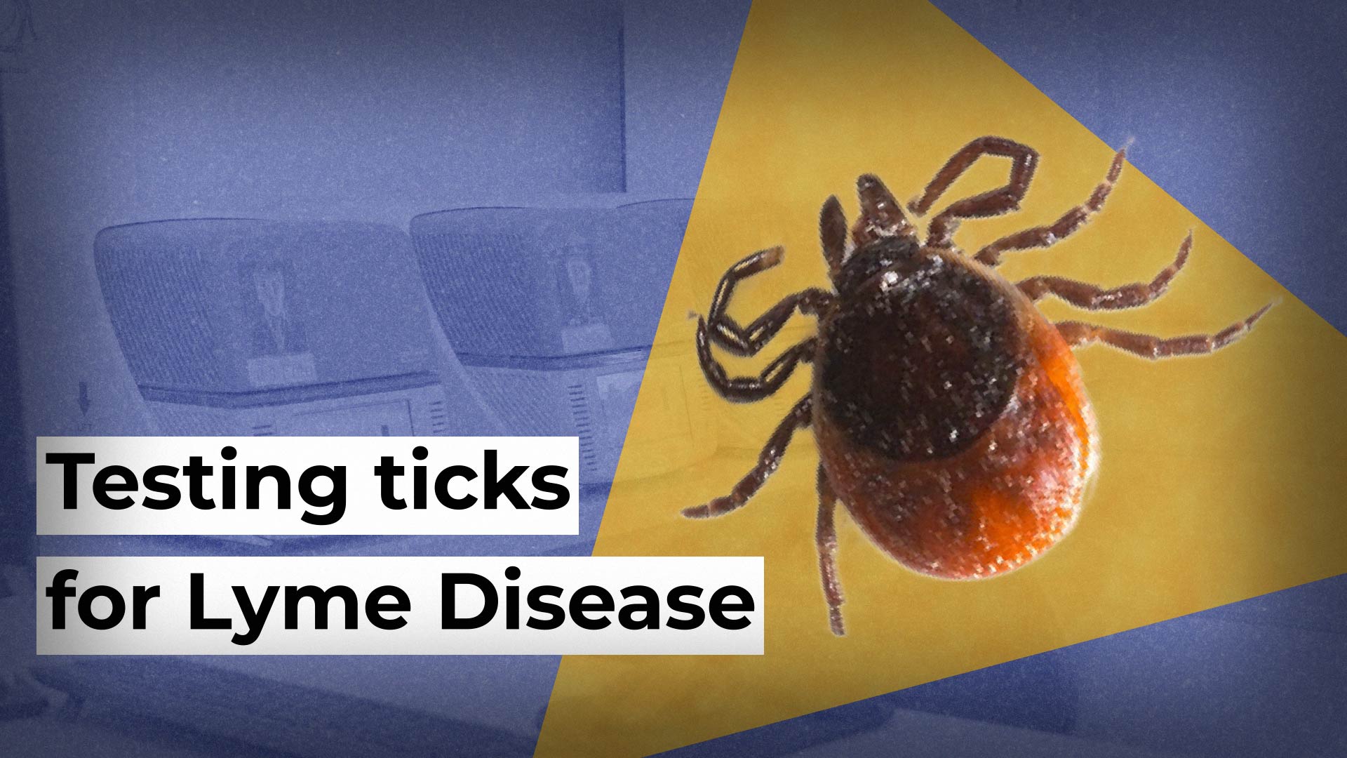Testing ticks for microbes/germs that cause Lyme disease (and other ...