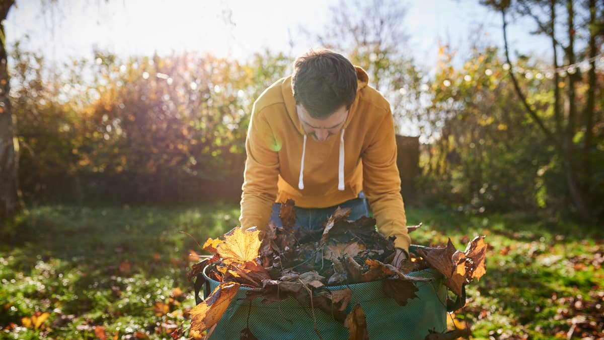 Avoid this fall cleanup mistake to boost your garden's health next spring