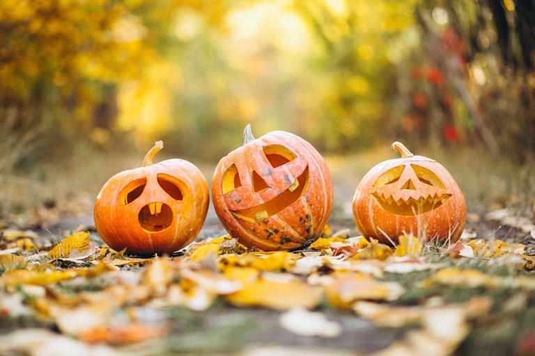 Rock N' Fall Festival in Royal Palm Beach Oct. 23-24