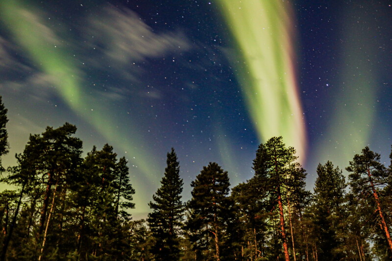 Fall is the best time in Finland to see foliage and auroras