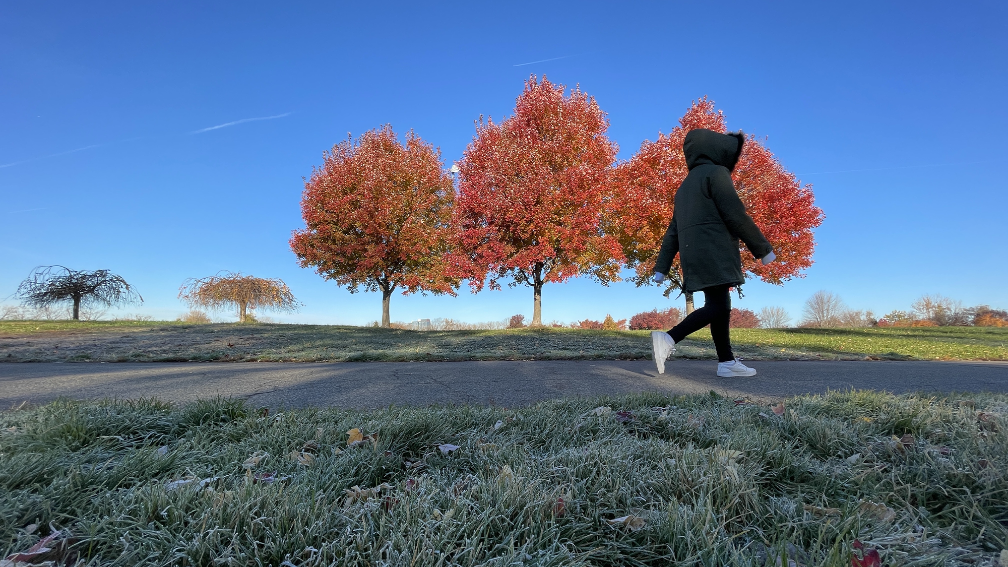 Millions face dramatic temperature drop as powerful cold front sweeps ...