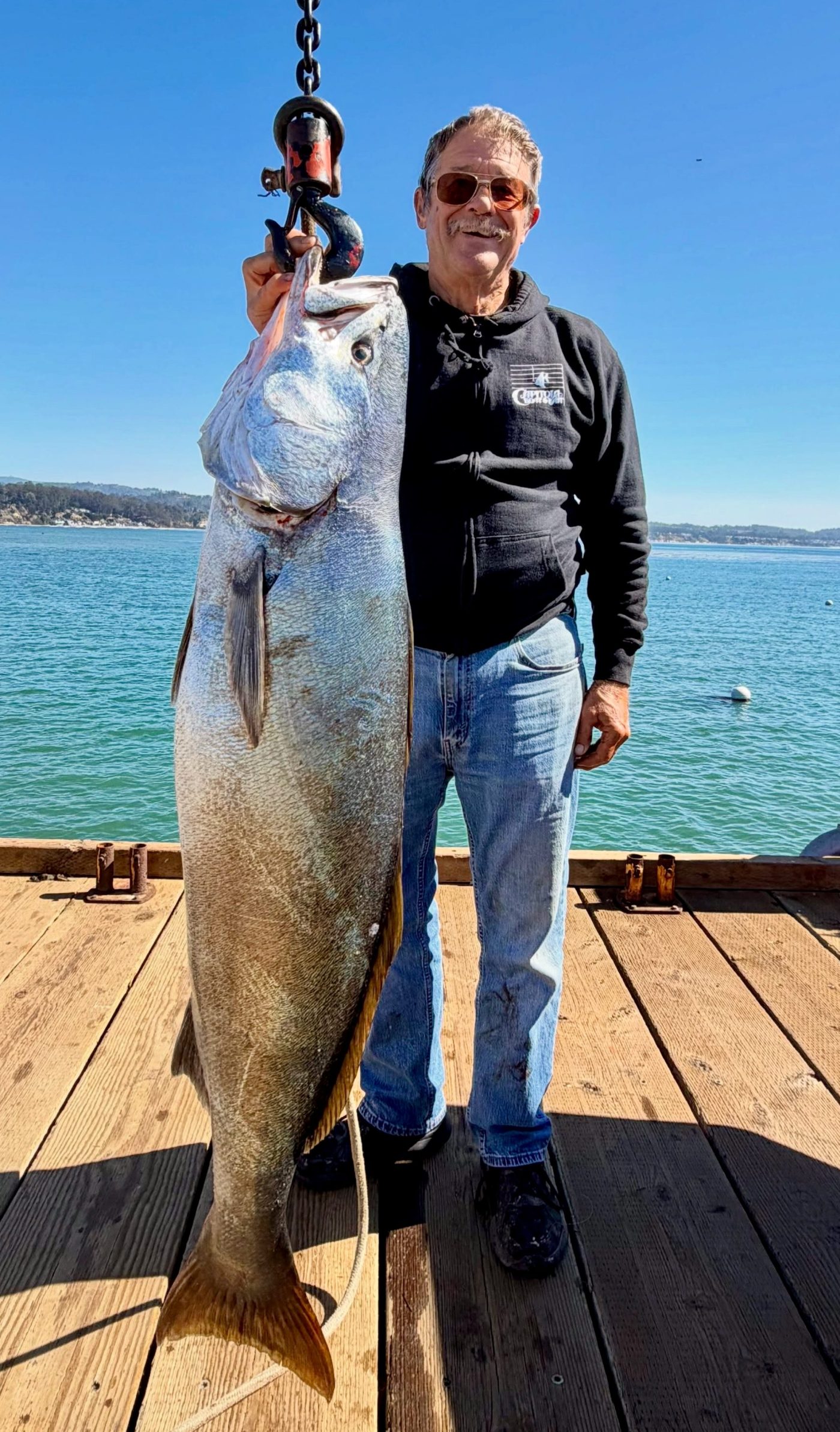 Rockcod, bonito among targeted species | Fish Rap