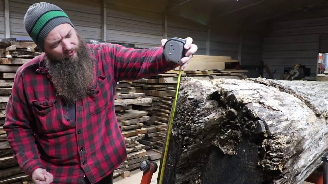 A forgotten log could reveal something remarkable