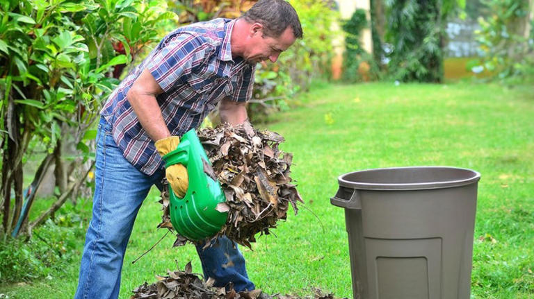 Goodbye regular rakes: The clever leaf removal tool that almost makes ...
