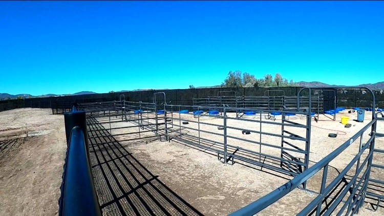 San Diego County opens $37M animal shelter in Santee to replace aging ...