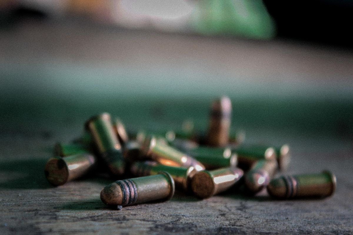 Two ANC members shot and killed while campaigning in KZN