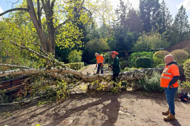 Queen’s Park entrance reopened after fallen tree cleared