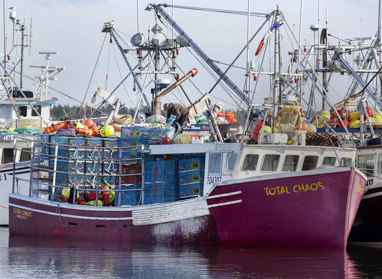 Fisheries sector fund gets $300 million extension from Ottawa, Atlantic ...