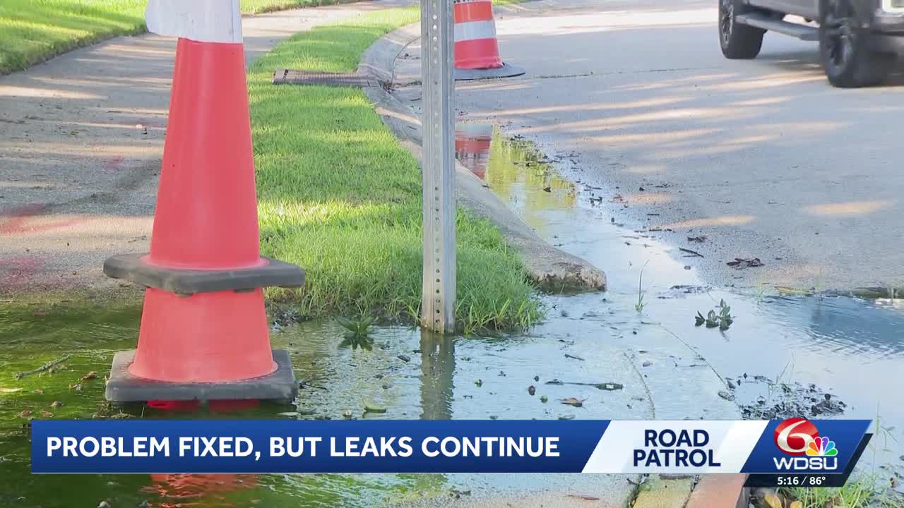 Road patrol: Kildeer Street residents frustrated as water leak persists ...