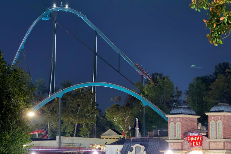 Man killed in Six Flags coaster fall had survived car fire, cancer: report