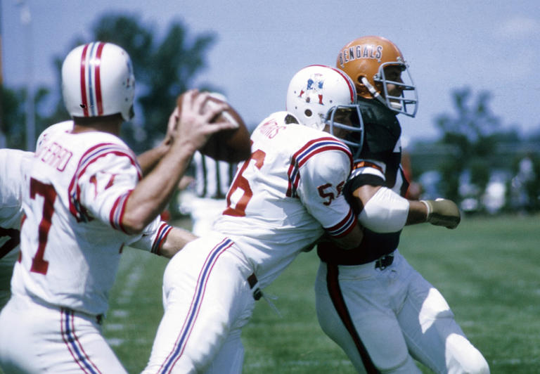 Patriots, Lions, Bears 7-time Pro Bowler, NBC analyst, dies at 84