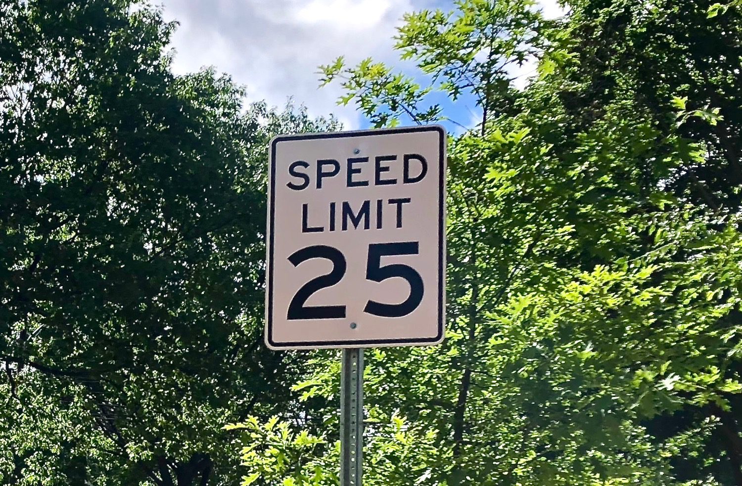 State College seeking speed limit reduction on Park Avenue