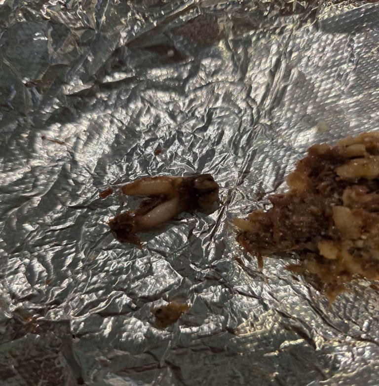 Austin taco chain sued by customer who finds cow tooth in food