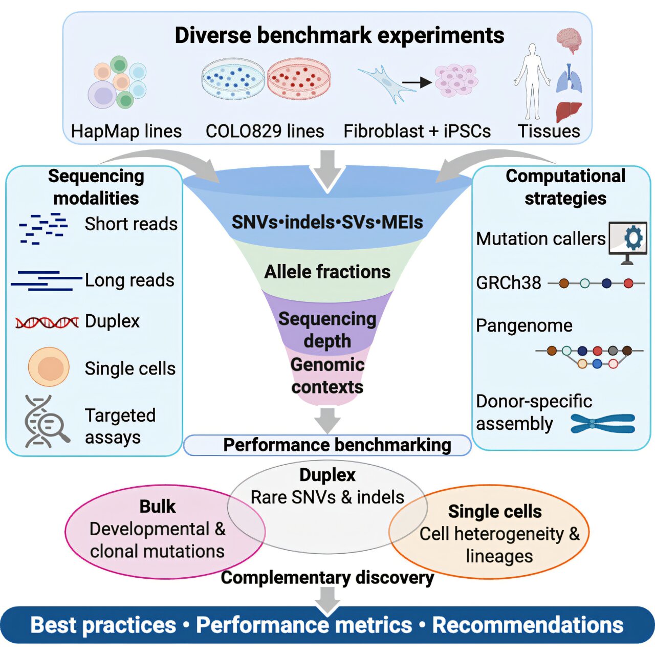 New DNA sequencing methods detect rare mutations acquired as bodies ...