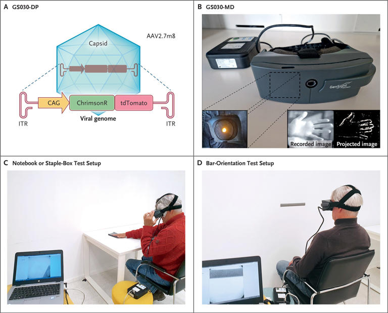 Experimental treatment helps some blind patients see objects