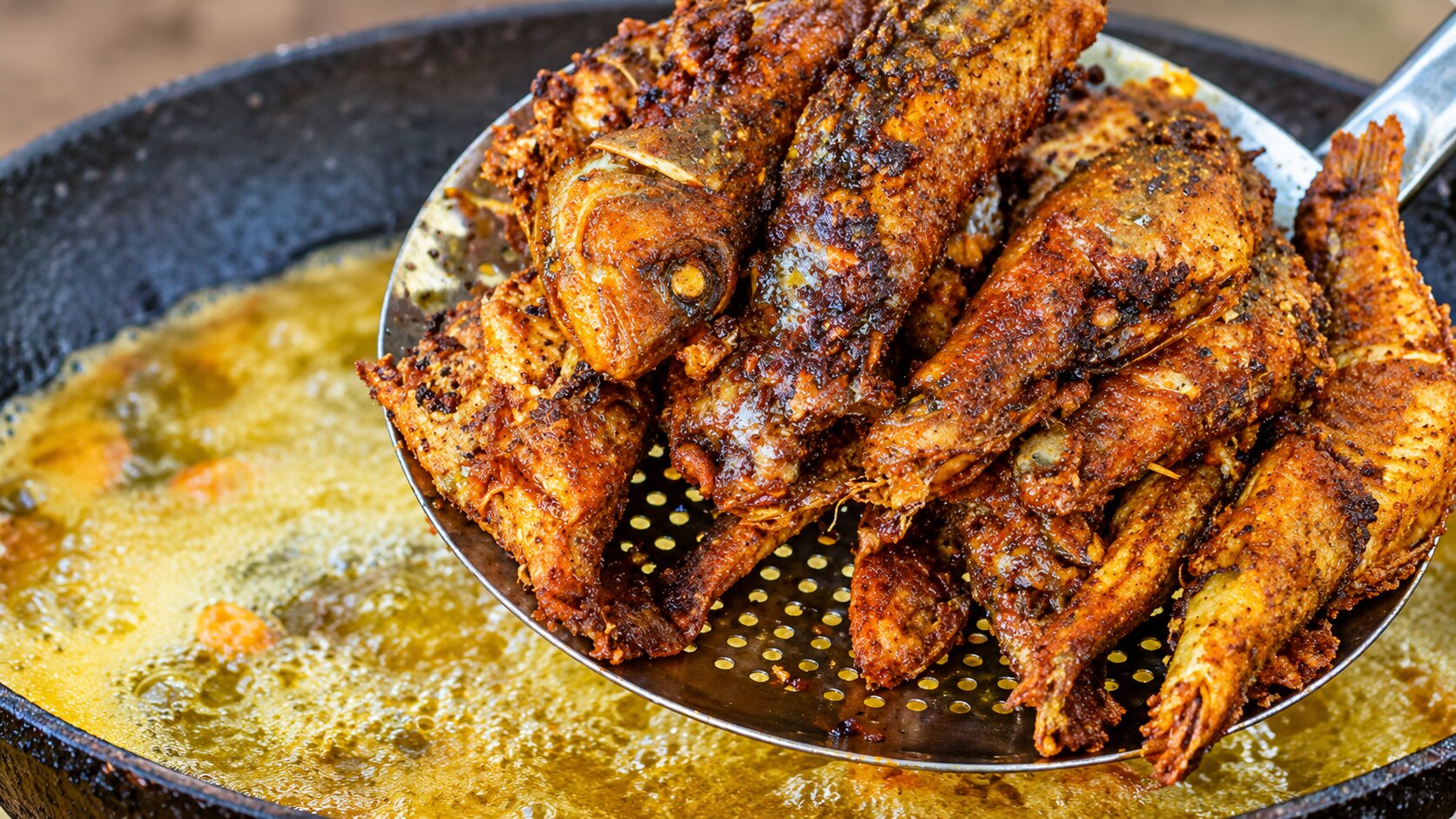 Traditional 40 kg red snapper fish fry and gravy cooked in village