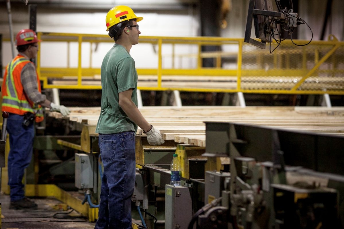 Ontario blasts US lumber tariffs as Canadian wood hits nearly 35% in taxes