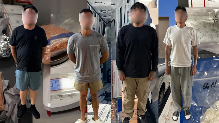 Misdirected package leads San Diego police to mail drug trafficking ...