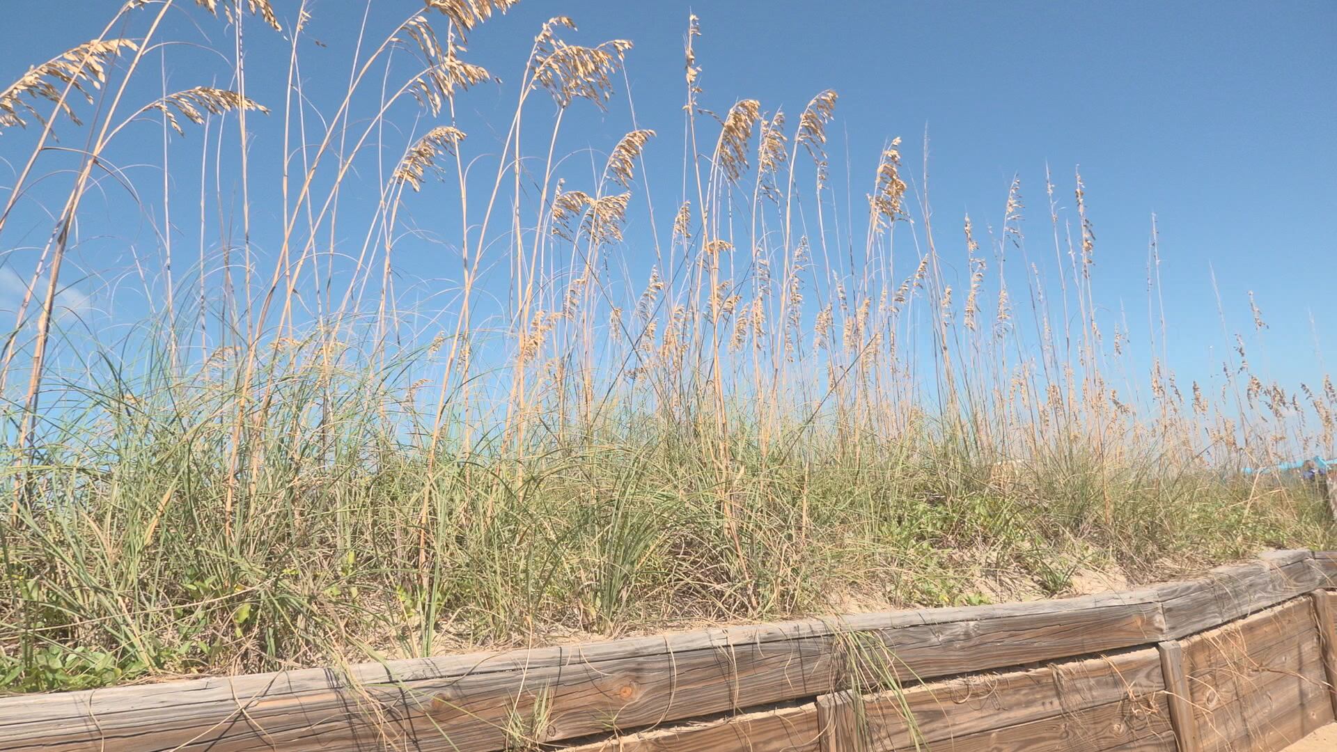 Happy birthday Tybee Island!