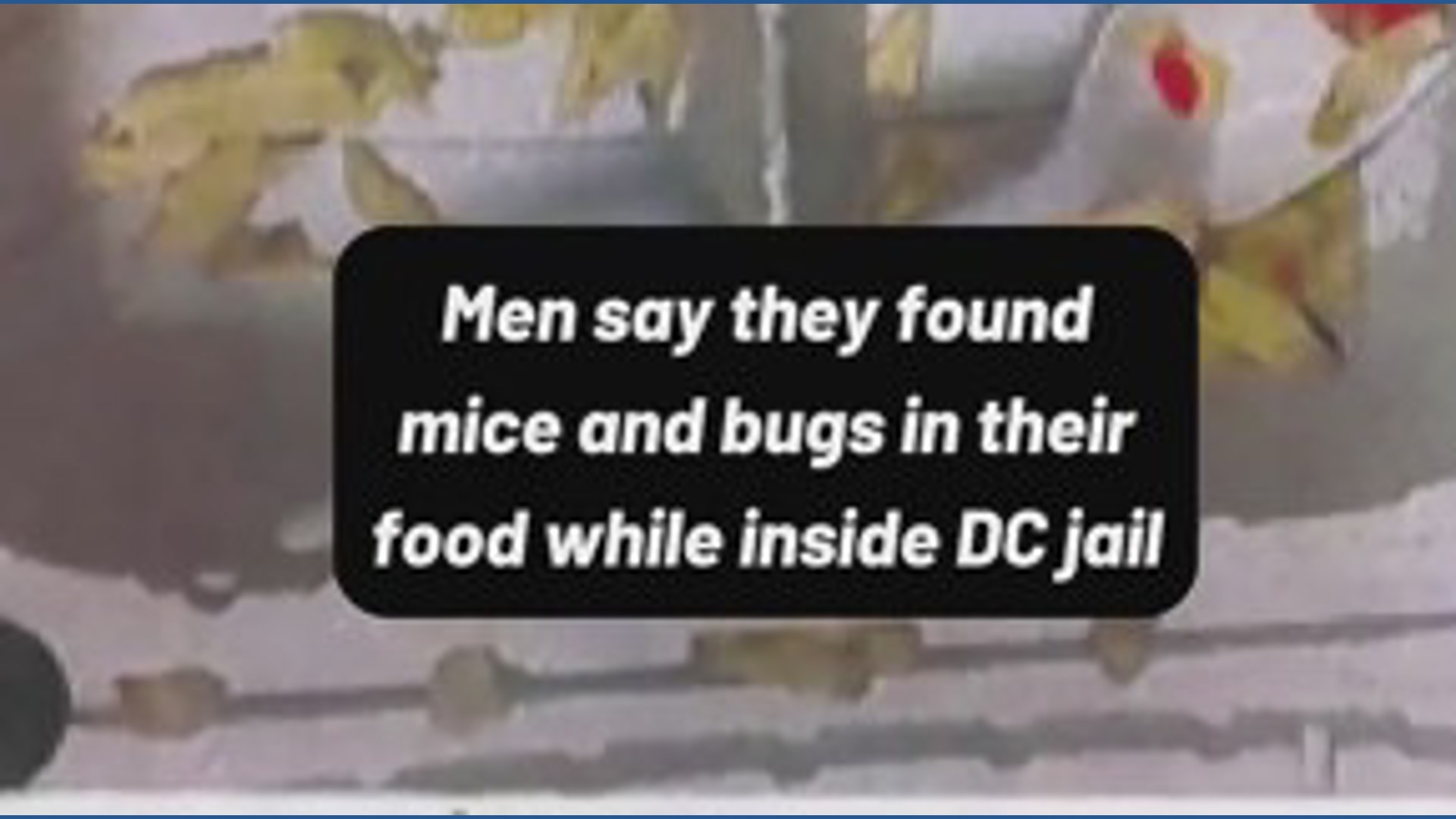 Men say they found mice and bugs inside their food while detained at ...