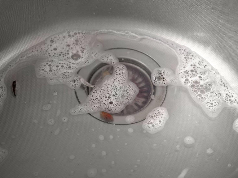 I asked experts how to quickly clear a blocked drain – they all named ...