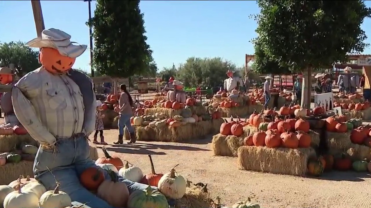 Fall fun is back at MacDonald's Ranch