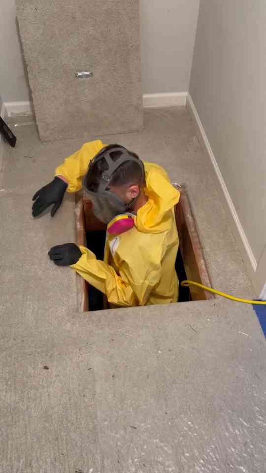 How to start a career in crime scene cleaning