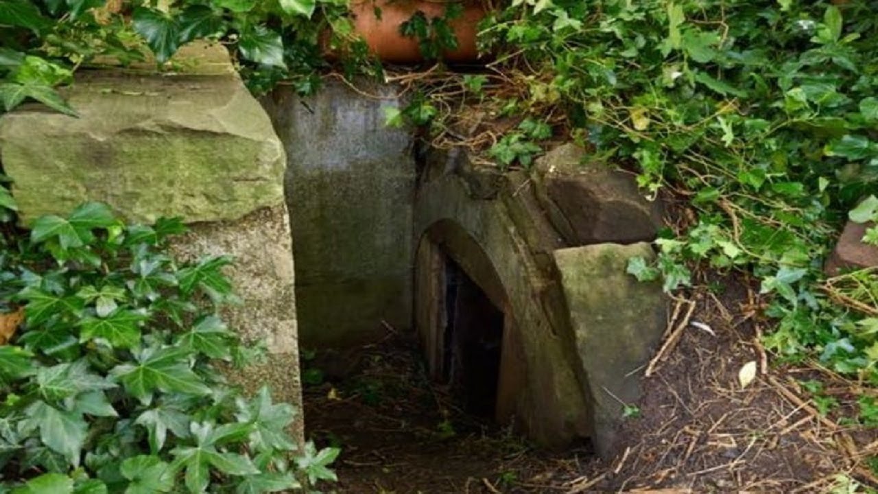 Man finds secret tunnel in garden, jumps back when he sees faces on the ...