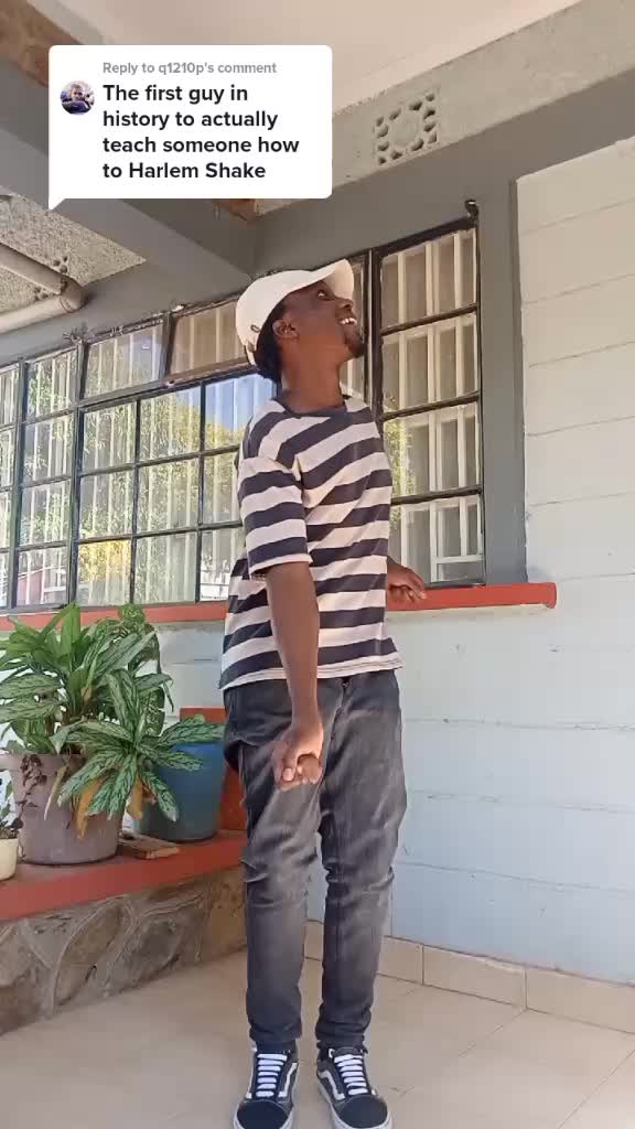 Learn the Harlem Shake with simple dance steps