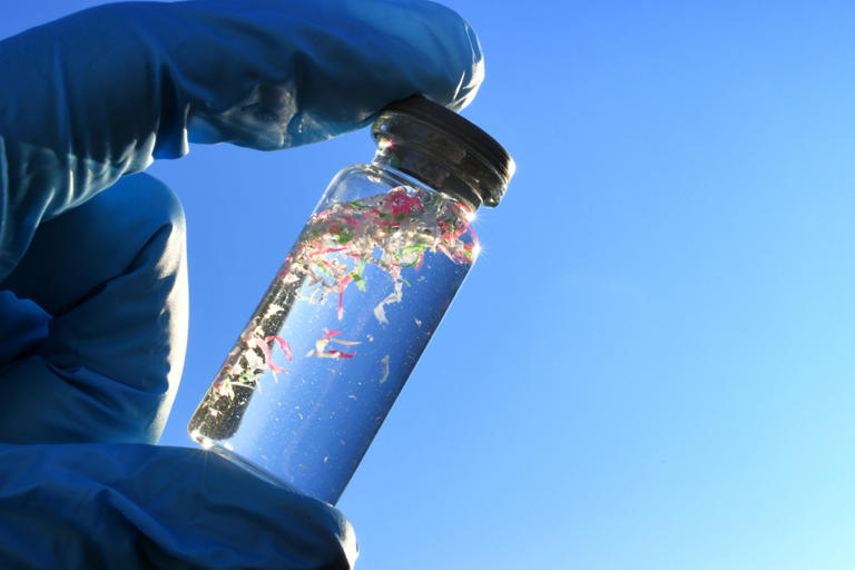 Living near the coast? Study links microplastics to five types of cancer
