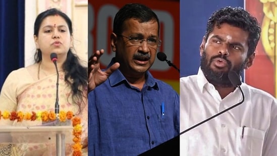 As ex-IAS officer Divya Mittal launches party, how 5 other civil ...