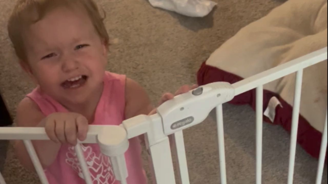 Toddler discovers how to open baby gate during family getaway