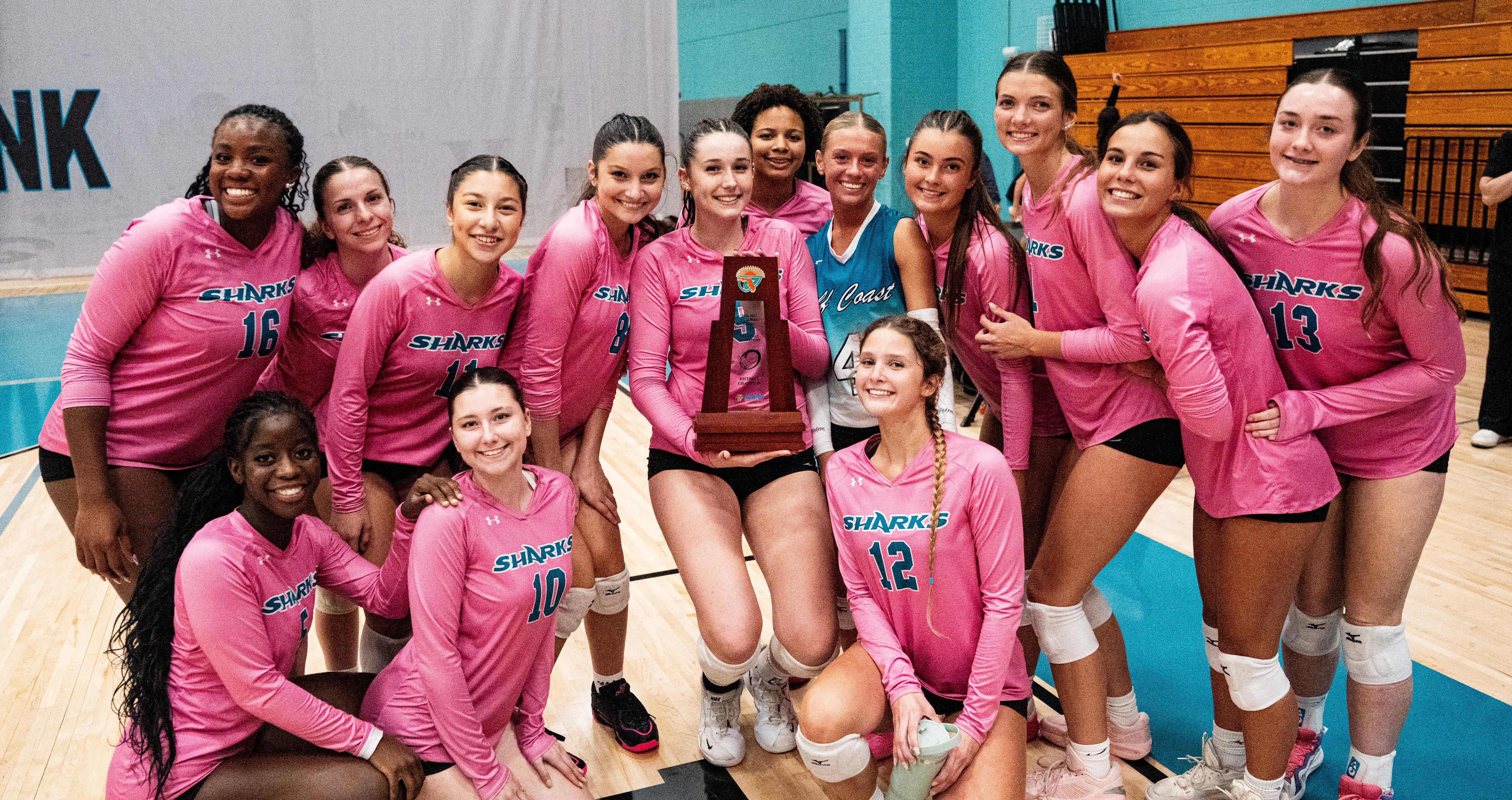 SWFL roundup Thursday: Who won volleyball district finals, LCAC swimming?