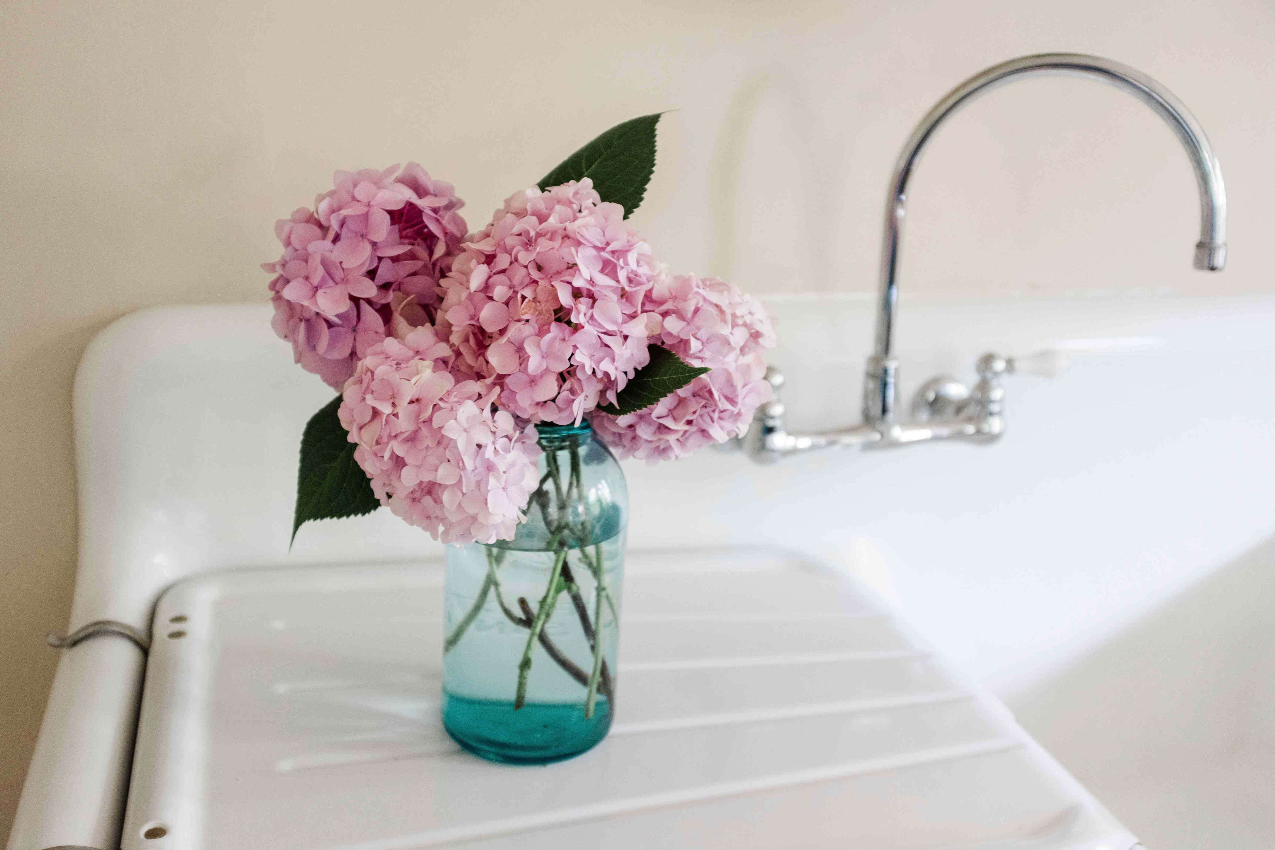 Love hydrangeas but hate how quickly they wilt? Florists swear by this ...